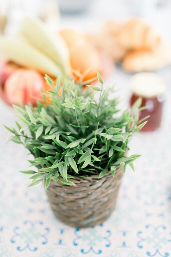 APARTAMENTO ITACA MAREA